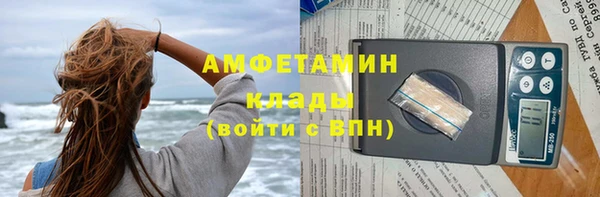 сатива Беломорск