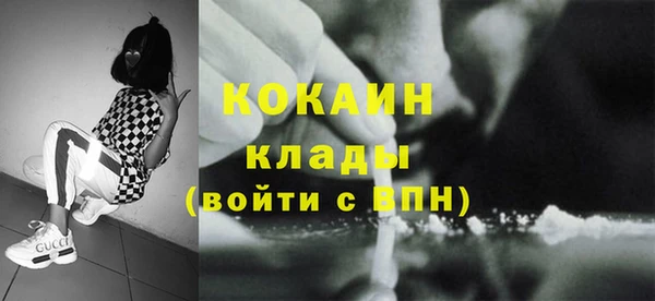 сатива Беломорск