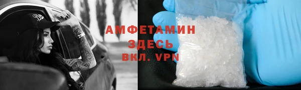 сатива Беломорск