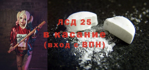 сатива Беломорск