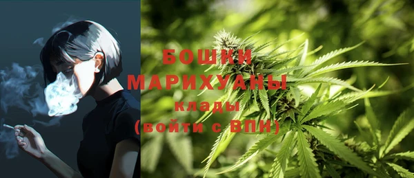 дмт Белокуриха