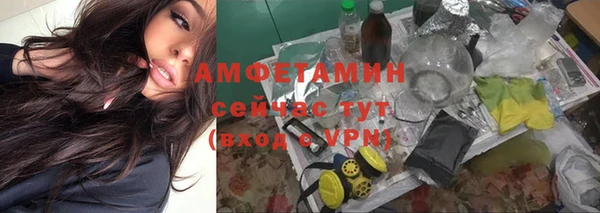 дмт Белокуриха
