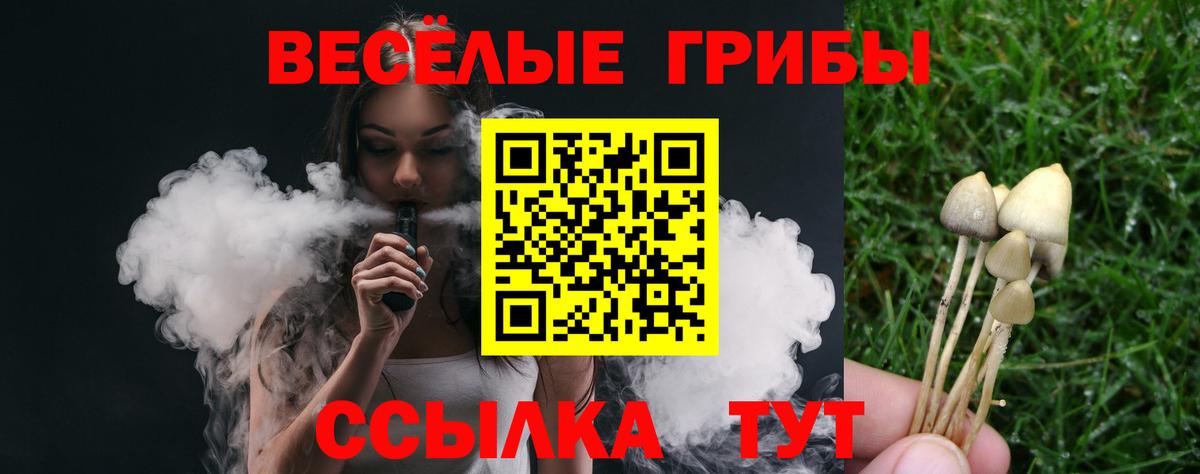 Псилоцибиновые грибы ЛСД Минеральные Воды
